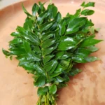 Curry Leaves [कढीपत्ता]