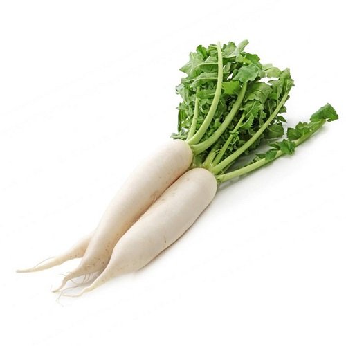 Radish (मुळा)