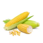 Sweet Corn [ मक्का ]