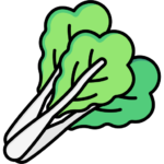 Vegetables