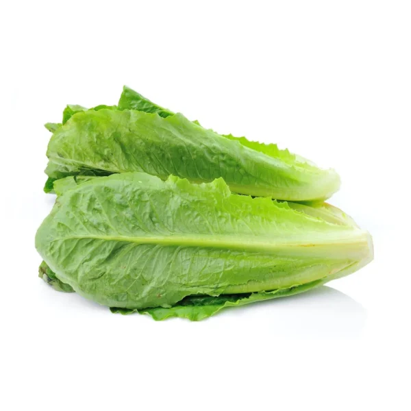 Lettuce [ लेट्यूस ]