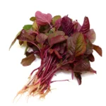 Amaranthus Red [ लाल माठ ]