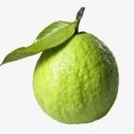 Desi Guava / पेरू