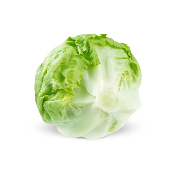 Iceberg Lettuce [आइसबर्ग लेट्यूस]