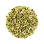 Mixed Sprouts / कडधान्ये