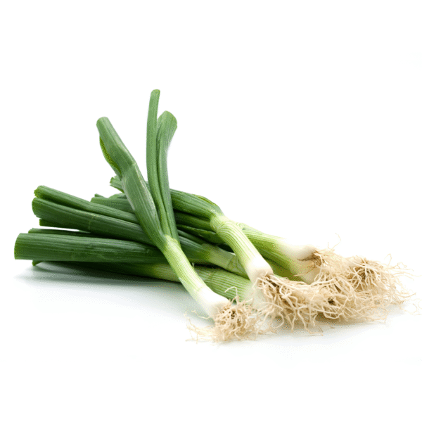 Spring Onion / पातीचा कांदा